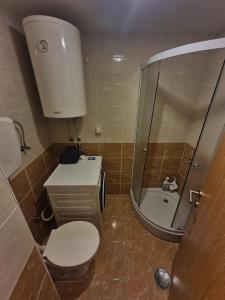 bagno con servizi igienici, lavandino e specchio di Dunja ambient a Kraljevo
