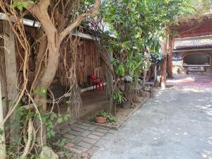 an entrance to a house with a large tree at Posada Piedra de Fuego in Zipolite