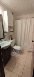 a bathroom with a sink and a toilet and a shower at Casa Carlota in Futrono