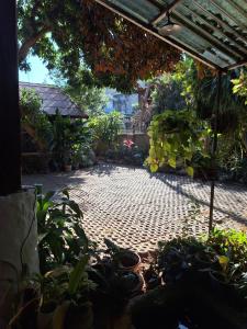 a patio with a bunch of plants in a garden at Baan Songjum in Chiang Mai
