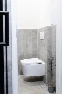 a bathroom with a white toilet in a room at Deluxe 2BDRs Home in Spa District Center in Karlovy Vary +18 photos