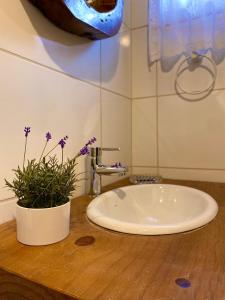 a bathroom sink with a potted plant on a counter at Estalagem Villa Serrana in Urubici