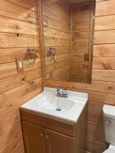 a bathroom with a sink and a mirror at Smoky Mountain Enchanting Haven 3BR2BA Cabin in Sevierville