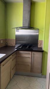 a kitchen with a stove and green walls at Appartement JO 2024 Paris Disney in Villeparisis