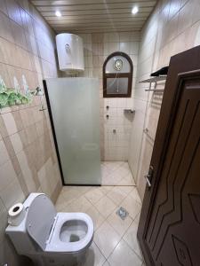 a bathroom with a toilet and a shower at Friday Suites in AlUla