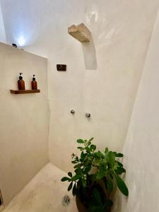 un bagno con una pianta in vaso accanto a un muro di Casa Sílice a Valladolid