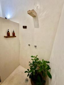 Fotografie z fotogalerie ubytování Casa Sílice Guesthouse v destinaci Valladolid