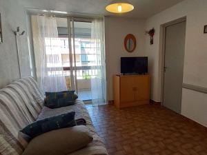 sala de estar con sofá y TV en Appartement Marseillan-Plage, 2 pièces, 4 personnes - FR-1-387-202, en Marseillan