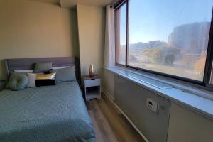 One bedroom apartment for rent, 4 sleeper في أرلينغتون: غرفة نوم بسرير ونافذة كبيرة