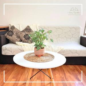 eine Topfpflanze auf einem Tisch im Wohnzimmer in der Unterkunft Dpto en el centro de la ciudad in Santiago