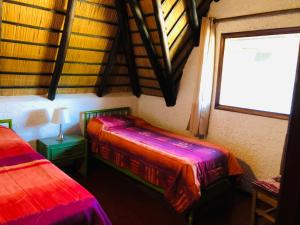 Zimmer mit 2 Betten und einem Fenster in der Unterkunft Villa Carolina in Punta del Este