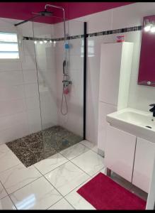 La salle de bains est pourvue d'une douche et d'un lavabo. dans l'établissement Maison à louer 2 chambres, à Les Abymes