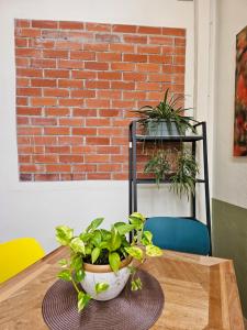 una mesa con plantas en la parte superior de una pared de ladrillo en Summer Home 15 Georgetown Adventist en George Town