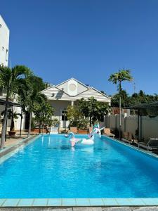 a swimming pool with two swans in the water at Pharos Guesthouse in Mui Ne