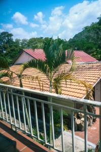 a balcony with a palm tree and a building at Jungle House Kep 2 in Phumĭ Ŏng Char