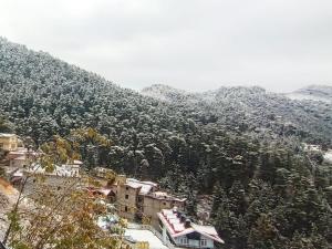 een uitzicht op een berg met huizen en bomen bij Mom Blessing Homestay in Shimla