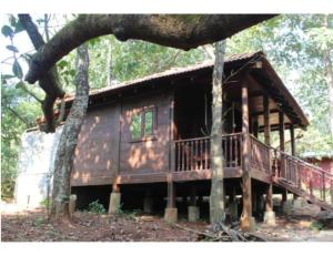 een hut in het bos met een veranda en bomen bij Tanshikar Spice Farm, Sanguem in Vichondrem