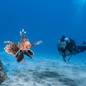 Hosté ubytování Le panoramique