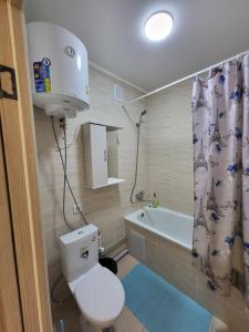 uma casa de banho com um WC e uma cortina de chuveiro em Квартира em Balkhash