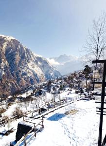 a snow covered mountain with benches in the foreground at Faraway Cottages, Auli in Joshīmath