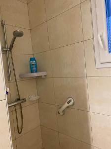 a shower with a shower head in a bathroom at Chambre d'Hôtes La Marie Pierre in Pluherlin +23 photos