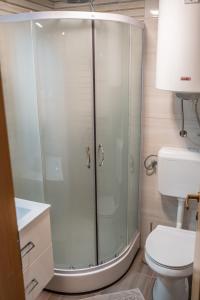 a bathroom with a shower and a toilet at Apartmaji Ježek Kope in Šmartno pri Slovenj Gradcu