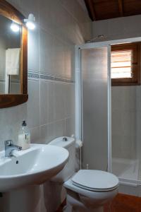 een badkamer met een toilet, een wastafel en een douche bij Casa Rural Las Nuevitas I in Hermigua +79 foto's