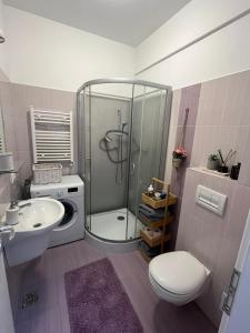 ein Bad mit einer Dusche, einem WC und einem Waschbecken in der Unterkunft Divine Comfort Apartments Palas Mall in Iaşi