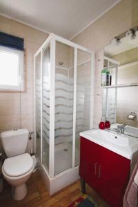 a bathroom with a shower and a toilet and a sink at GASMIM29 - Golfe de St-Tropez, chalet climatisé dans domaine arboré in Gassin