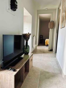 sala de estar con TV de pantalla plana en un centro de entretenimiento de madera en Charmant petit appartement place de l eglise, en Piana