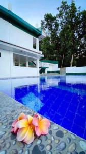 Swimming pool sa o malapit sa Kakisa ll Diving Resort