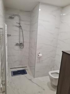 a bathroom with a shower and a toilet at Skala in Rečica ob Savinji