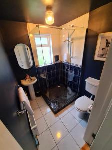 a bathroom with a shower and a toilet and a sink at Stylish 3 Bedroom Galway House in Galway