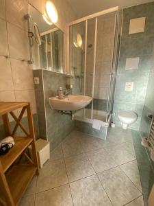 een badkamer met een wastafel, een douche en een toilet bij Apartments in der Kopenhagener Straße in Rostock
