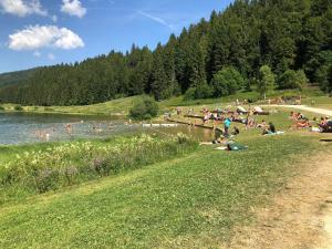 a crowd of people sitting on the grass near a lake at Appartement Daniel in Lamoura