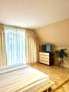 a bedroom with a bed and a dresser with a television at Chervona Ruta in Shaian