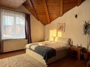 a bedroom with a bed and a large window at Ambra Room's in Braşov