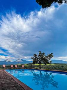 una gran piscina azul con sillas y un árbol en Far Hills Country Hotel en George