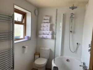 a bathroom with a toilet and a shower and towels at Locheil Apartment in Boat of Garten