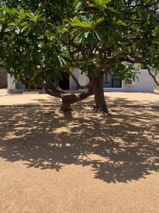 Fotografie z fotogalerie ubytování Capricorn Beachfront Cottage v destinaci Cape Maclear