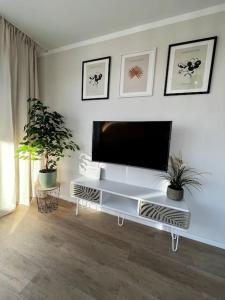 a living room with a flat screen tv on a white wall at Charmante Penthouse - Nahe Badewelt - Hoffenheim Stadion in Sinsheim