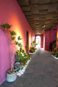 De Vivre Homestay Măng Đen في Kon Von Kla: مدخل مع جدار وردي مع نباتات الفخار