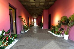 korytarz różowego budynku z roślinami doniczkowymi w obiekcie De Vivre Homestay Măng Đen w mieście Kon Von Kla
