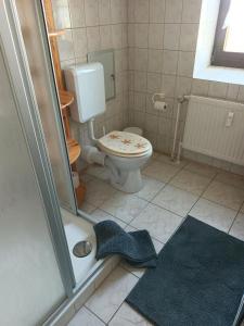 uma pequena casa de banho com WC e chuveiro em Ferienwohnung Lindenallee em Neu Poserin