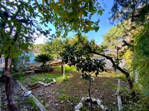 a view of a garden with a tree and rocks at ferah havaalanı 10 sahile 1 km yeşillikler içinde in Altınkum