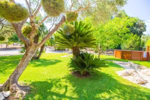 un parque con árboles y plantas en el césped en Pequeña, en Capdepera