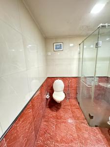 uma casa de banho com um WC e um chuveiro em Hotel Divine Admire Opp Gurudwara Sahib in Taimoor Nagar-Friends Colony em Nova Deli