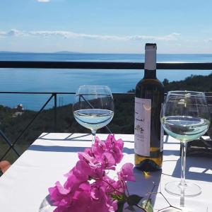 a bottle of wine and two glasses on a table with flowers at Apollo Romantic Sea View Villa in Kiveri