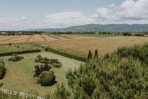 z powietrza widok na pole z drzewami i krzakami w obiekcie Terra di Cortona w mieście Cortona