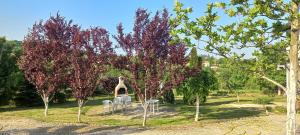 Galeriebild der Unterkunft FAKTOTUM in Donja Ralja